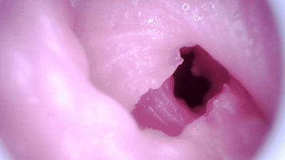 【群友测评】白羊座の星座传说——软嫩小羊，通道多重突破感却不失温和感