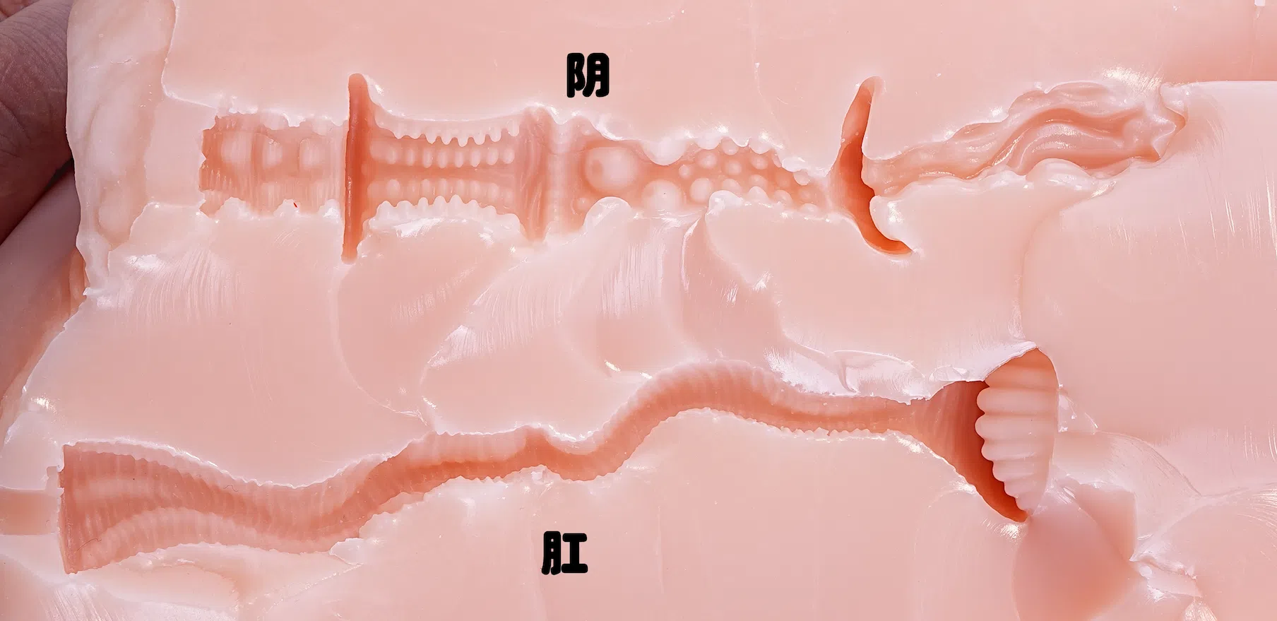 【杯友测评】GXP魔方姬半身测评!重量优化的特殊身躯,体验不俗的同时,也方便存放