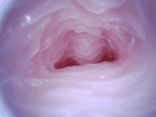 【杯友测评】DREAM EDGE春阳萌花真人倒模飞机杯——顶级“实战”体验，十分甚至九分的逼真