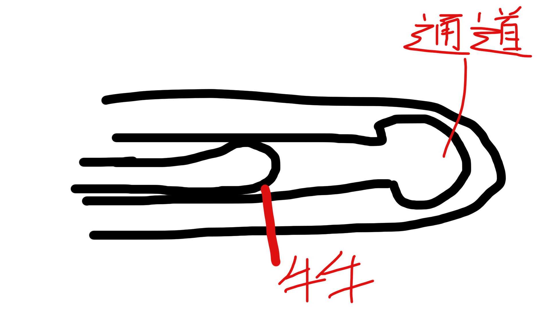 【杯友测评】DREAM EDGE春阳萌花真人倒模飞机杯——顶级“实战”体验，十分甚至九分的逼真