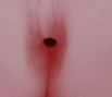 【杯友测评】GXP格蕾丝二代——热情且优雅的探戈学姐の初体验