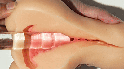 【群友测评】白羊座の星座传说——软嫩小羊，通道多重突破感却不失温和感