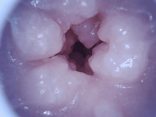 【杯友测评】GXP胖次天使一代二代臀模倒模——一代屁股硬二代屁股大,通道更是顶中顶