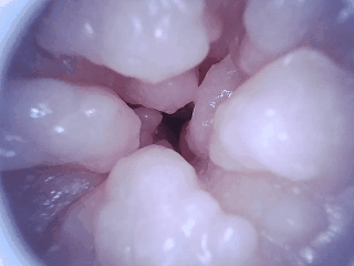 【杯友测评】GXP胖次天使一代二代臀模倒模——一代屁股硬二代屁股大,通道更是顶中顶