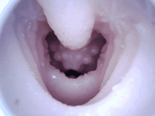 【杯友测评】GXP胖次天使一代二代臀模倒模——一代屁股硬二代屁股大,通道更是顶中顶