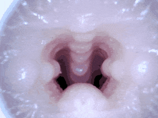 【杯友测评】GXP胖次天使一代二代臀模倒模——一代屁股硬二代屁股大,通道更是顶中顶