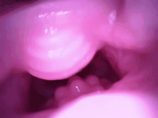 【杯友测评】GXP兔仆长臀模飞机杯——仿兔子子宫的分叉通道设计，小兔子乖让我进来一下