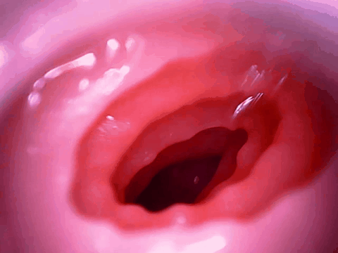 【杯友测评】GXP兔仆长臀模飞机杯——仿兔子子宫的分叉通道设计，小兔子乖让我进来一下