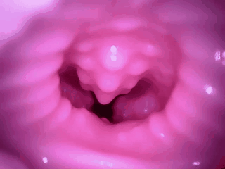 【杯友测评】GXP兔仆长臀模飞机杯——仿兔子子宫的分叉通道设计，小兔子乖让我进来一下