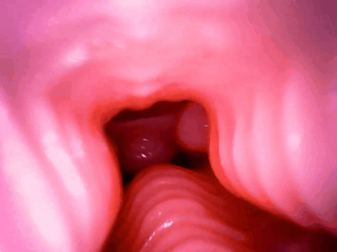 【杯友测评】GXP兔仆长臀模飞机杯——仿兔子子宫的分叉通道设计，小兔子乖让我进来一下