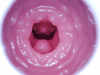 【新品发布】GXP最新力作！白丝壁女一代电动款登场！——10档电机调节！有信心陪我玩下去吗？亲爱的❤