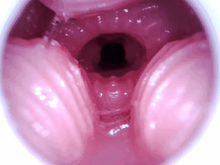 【新品发布】GXP最新力作！白丝壁女一代电动款登场！——10档电机调节！有信心陪我玩下去吗？亲爱的❤