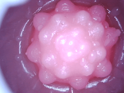 【杯友测评】GXP私人家教绫香——底部巨大颗粒调教,延时锻炼的最佳导师!