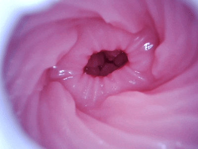 【杯友测评】GXP私人家教绫香——底部巨大颗粒调教,延时锻炼的最佳导师!