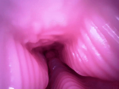 【杯友测评】GXP兔仆长臀模飞机杯——仿兔子子宫的分叉通道设计，小兔子乖让我进来一下