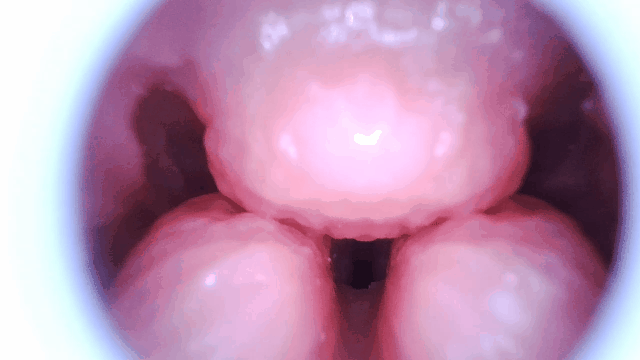 【杯友测评】GXP爱上甜甜圈臀模飞机杯——没腿的小屁股,圈形通道狠狠夹吸!