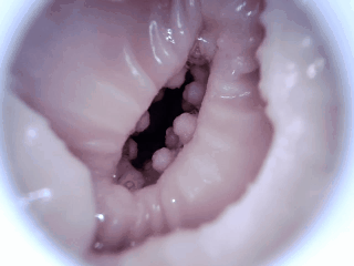 【杯友测评】GXP琉璃温肉硅胶飞机杯——细腻肌肤纹理,通道满满的颗粒感