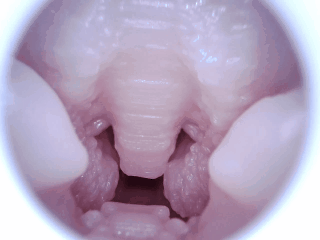 【杯友测评】GXP胖次天使三代电动臀模——电机加臀，5档震动加五档吮吸的极致榨汁机