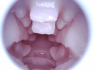 【杯友测评】GXP胖次天使三代电动臀模——电机加臀，5档震动加五档吮吸的极致榨汁机