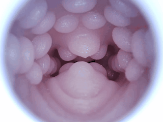 【杯友测评】GXP胖次天使三代电动臀模——电机加臀，5档震动加五档吮吸的极致榨汁机