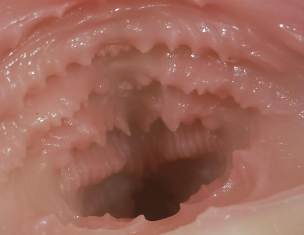 【杯友测评】GXP爱上甜甜圈臀模飞机杯——没腿的小屁股,圈形通道狠狠夹吸!