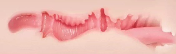 【杯友测评】KAGUYANO布鲁诗多利口形飞机杯——温柔嘴穴的甜蜜爱抚