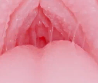 【杯友测评】KAGUYANO布鲁诗多利口形飞机杯——温柔嘴穴的甜蜜爱抚