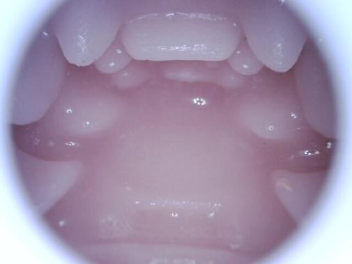 【杯友测评】GXP胖次天使三代电动臀模——电机加臀，5档震动加五档吮吸的极致榨汁机