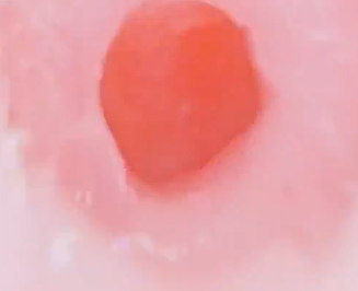 【杯友测评】KAGUYANO布鲁诗多利口形飞机杯——温柔嘴穴的甜蜜爱抚