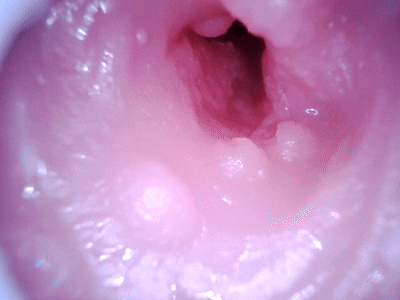 【杯友测评】GXP异世界龙娘——神秘“魅魔流”龙娘，双通道肉感十足刺激在线