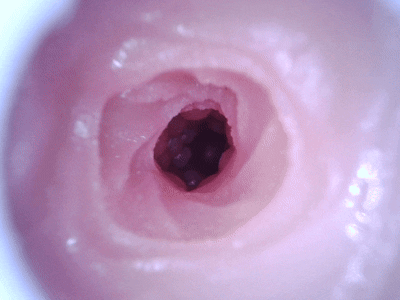 【杯友测评】GXP异世界龙娘——神秘“魅魔流”龙娘，双通道肉感十足刺激在线