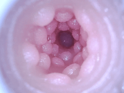 【杯友测评】GXP异世界龙娘——神秘“魅魔流”龙娘，双通道肉感十足刺激在线