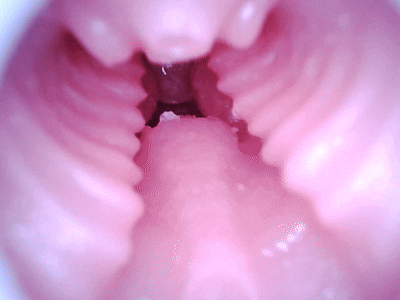 【杯友测评】GXP异世界龙娘——神秘“魅魔流”龙娘，双通道肉感十足刺激在线