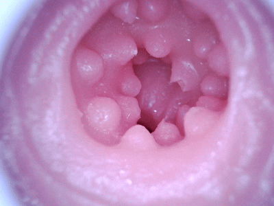 【杯友测评】GXP异世界龙娘——神秘“魅魔流”龙娘，双通道肉感十足刺激在线