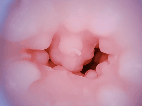 【杯友测评】网易春风元娘2代——四季元娘,每个季节的通道都在成长呀