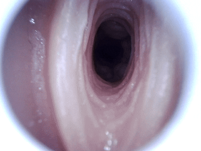 【杯友测评】GXP大吉樱子大半身(上半身)飞机杯——巨乳大半身!喜欢御姐大雷这块的有福了