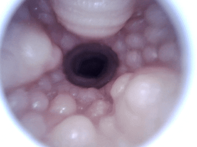 【杯友测评】GXP大吉樱子大半身(上半身)飞机杯——巨乳大半身!喜欢御姐大雷这块的有福了