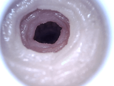 【杯友测评】GXP大吉樱子大半身(上半身)飞机杯——巨乳大半身!喜欢御姐大雷这块的有福了