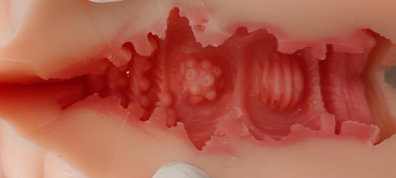 【杯友测评】GXP白丝壁女2代(软版)——肉褶与长肉脊的温和榨汁,从一代的闷骚女友变温柔妻子了