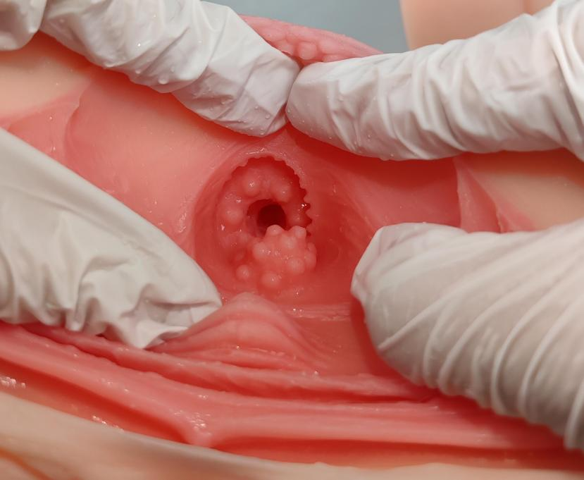 【杯友测评】GXP白丝壁女2代(软版)——肉褶与长肉脊的温和榨汁,从一代的闷骚女友变温柔妻子了