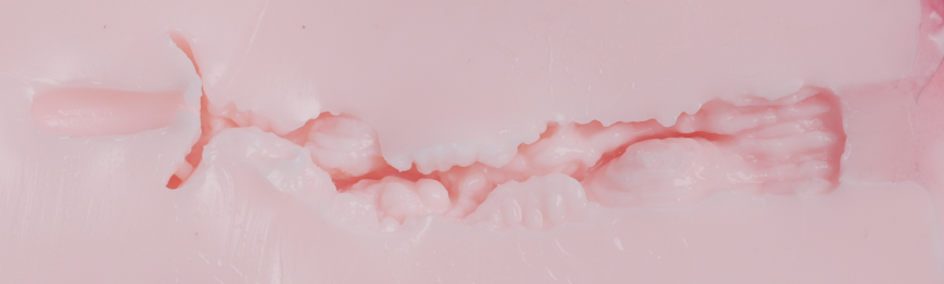 【杯友测评】网易春风元娘2代——四季元娘,每个季节的通道都在成长呀