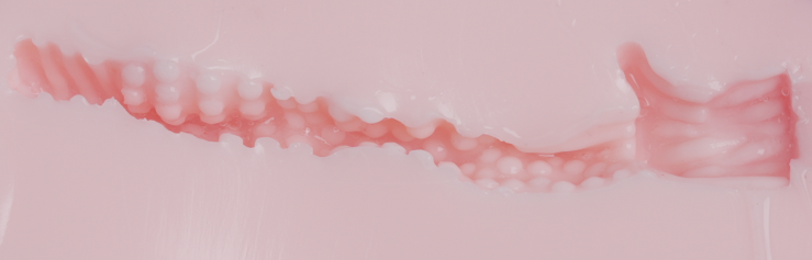 【杯友测评】网易春风元娘2代——四季元娘,每个季节的通道都在成长呀