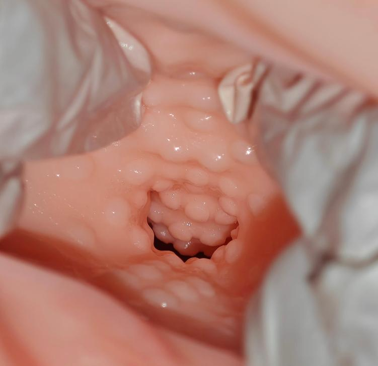 【杯友测评】网易春风元娘2代——四季元娘,每个季节的通道都在成长呀