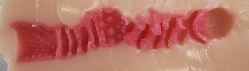 【杯友测评】GXP格蕾丝一代——内壁强力包裹感，螺旋肉壁狠狠缠绕