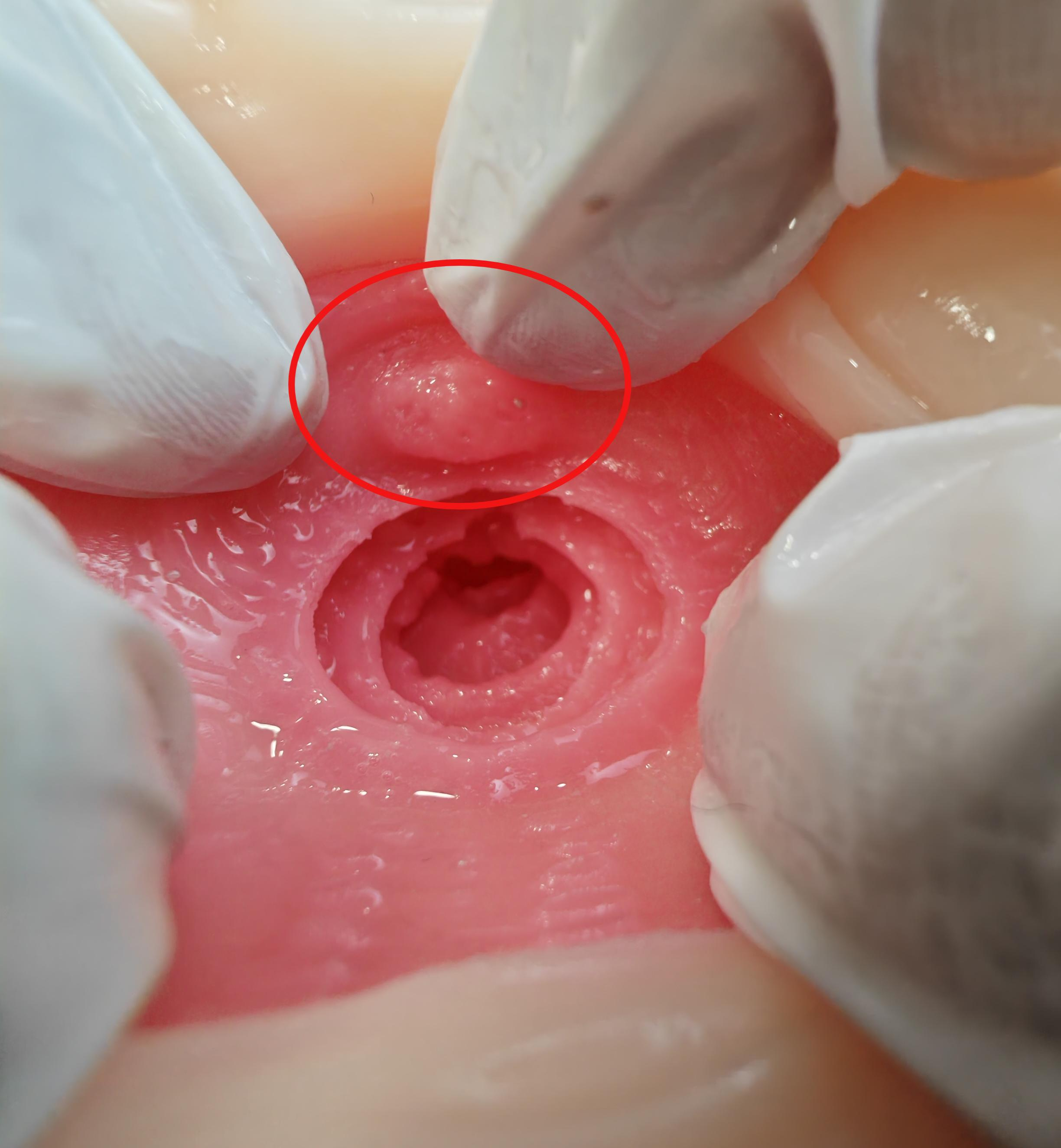 【杯友测评】GXP格蕾丝一代——内壁强力包裹感，螺旋肉壁狠狠缠绕