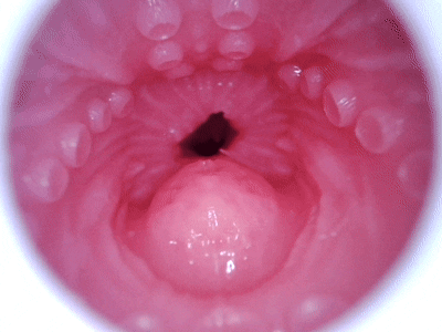 【杯友测评】GXP格蕾丝一代——内壁强力包裹感，螺旋肉壁狠狠缠绕