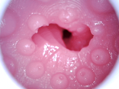 【杯友测评】GXP格蕾丝一代——内壁强力包裹感，螺旋肉壁狠狠缠绕