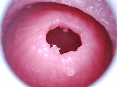 【杯友测评】GXP格蕾丝一代——内壁强力包裹感，螺旋肉壁狠狠缠绕