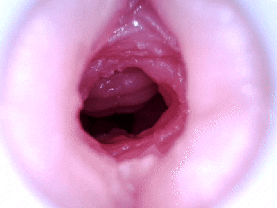 【杯友测评】GXP白丝壁女2代(软版)——肉褶与长肉脊的温和榨汁,从一代的闷骚女友变温柔妻子了