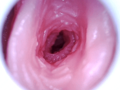 【杯友测评】GXP白丝壁女2代(软版)——肉褶与长肉脊的温和榨汁,从一代的闷骚女友变温柔妻子了